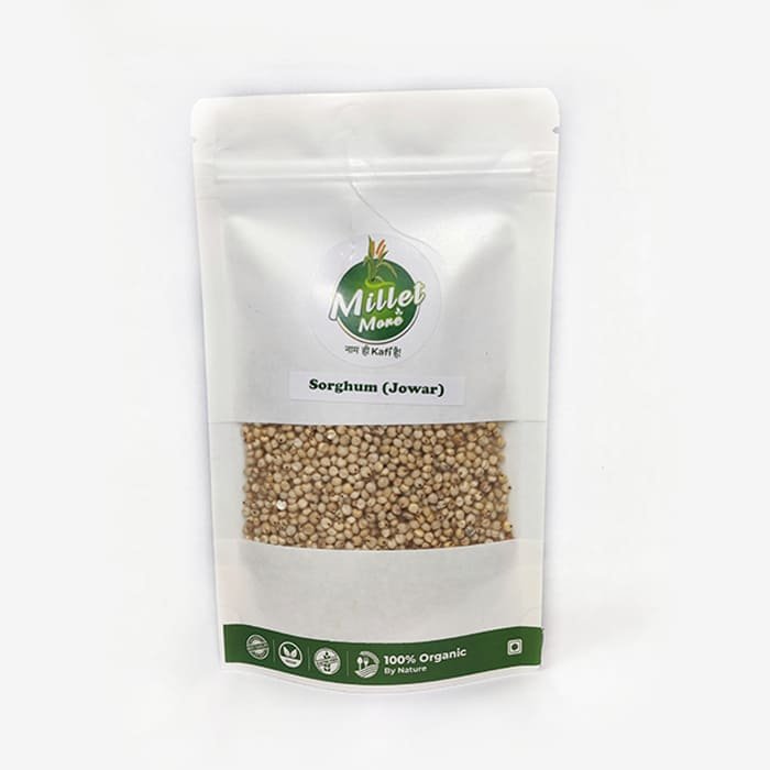 IMG_20231229_125637-01