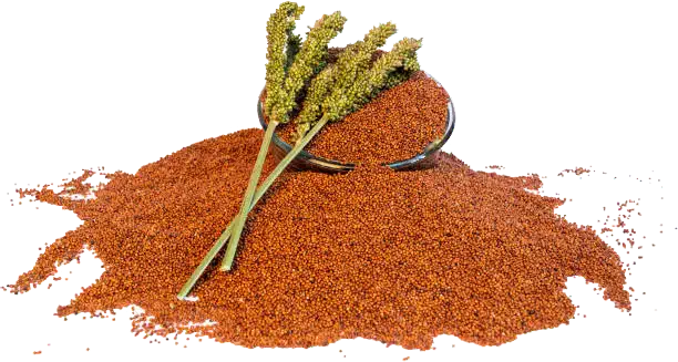millet-png